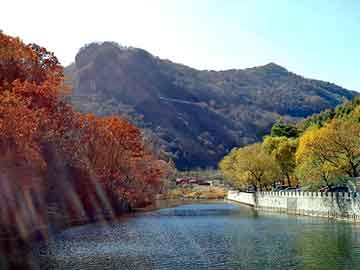 澳彩资料免费长期公开，芒花扫把